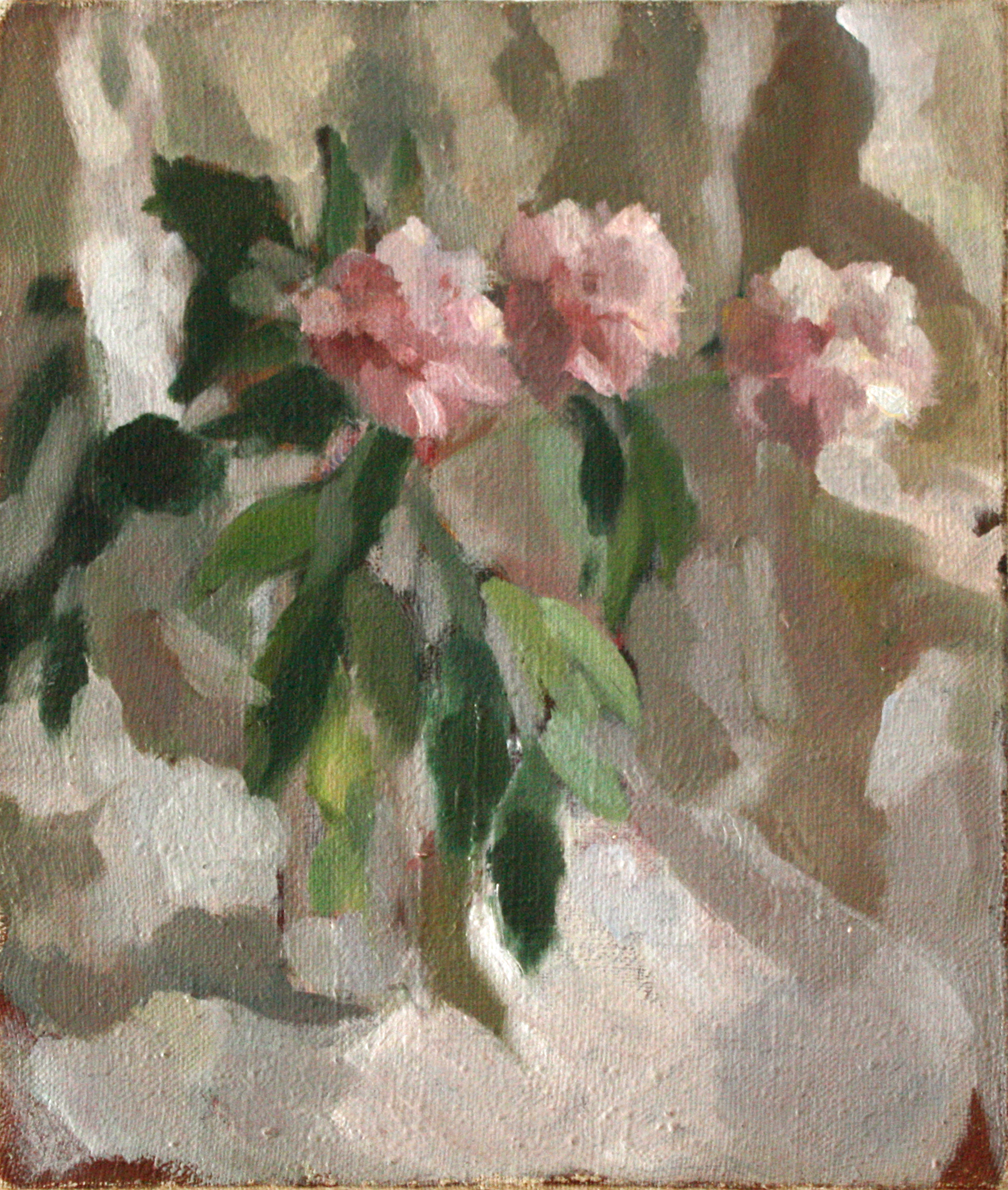 Image gallery image